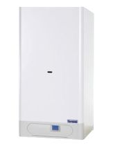 настенный газовый, конвекционный котел Thermona THERM 20 TCX.A